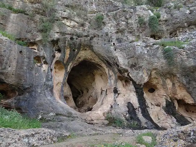 Es Skhul