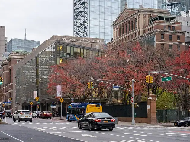 Bellevue Hospital