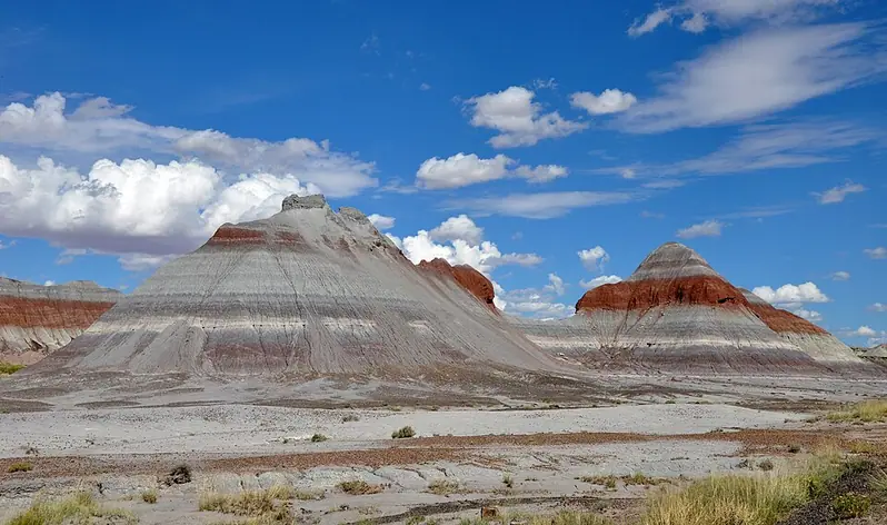 Parc national de Petrified Forest