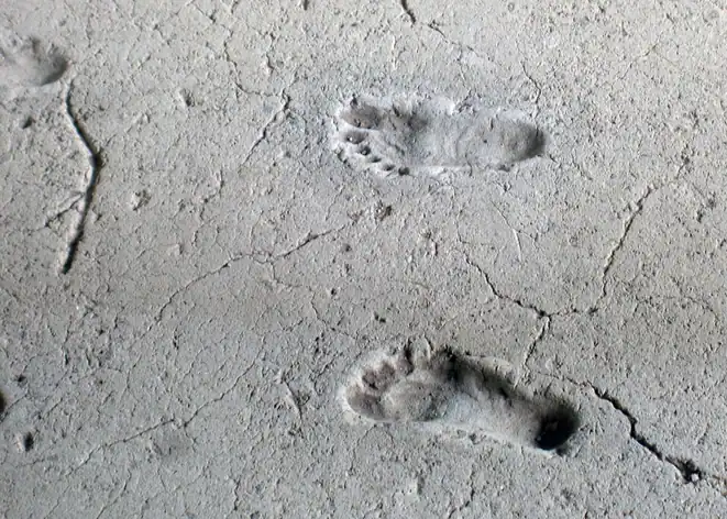 Ancient footprints of Acahualinca