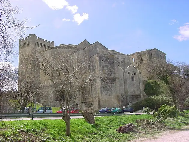 Abbaye Saint-Pierre de Montmajour