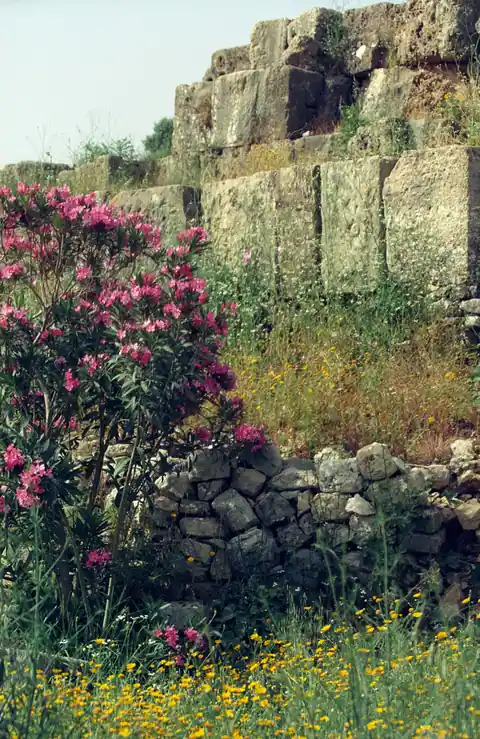 Nécropole royale de Byblos
