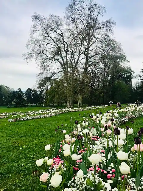Parc de La Grange