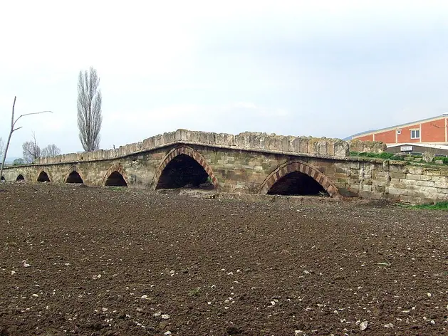 Pont Vojinović