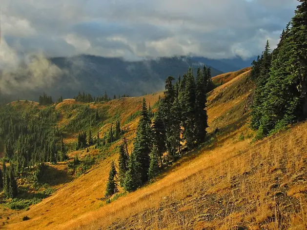 Parc national Olympique