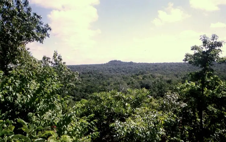 El Tintal