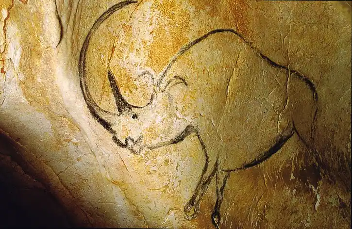 Grotte Chauvet