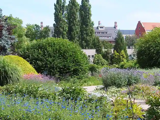 Jardin botanique de Wrocław