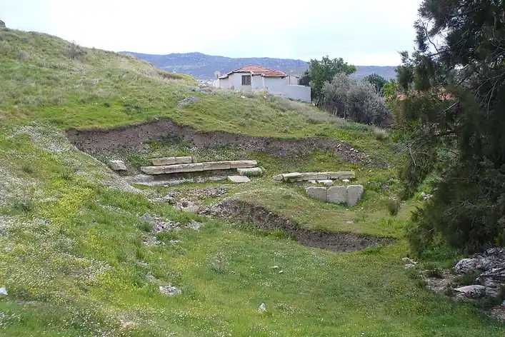 Phocée