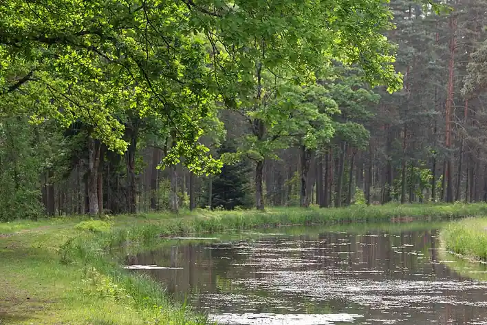 Canal Ludwig