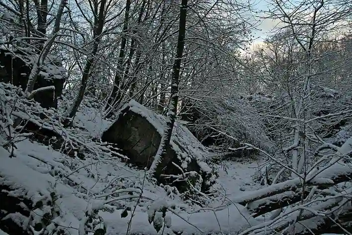 Felsennest