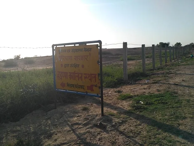 Bhirrana