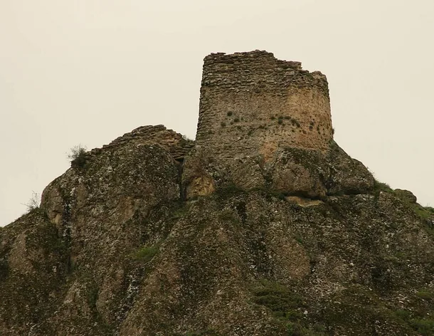 Birtvisi