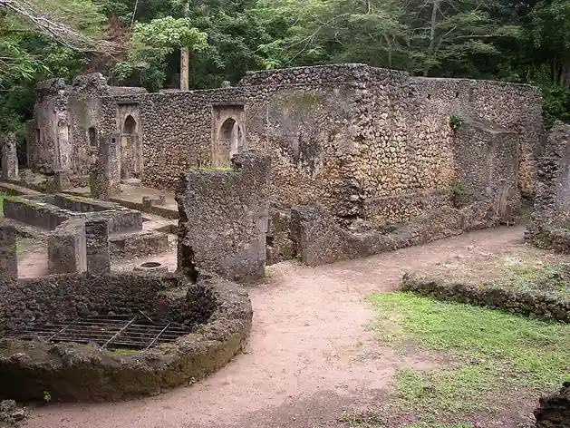 Ruines de Gedi
