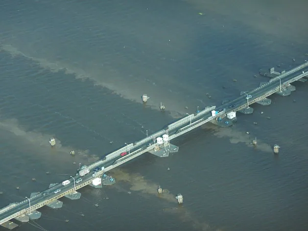 Demerara Harbour Bridge