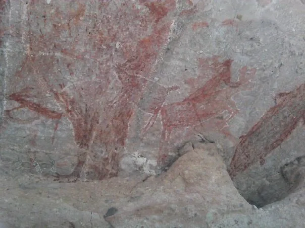 Peintures rupestres de la Sierra de San Francisco