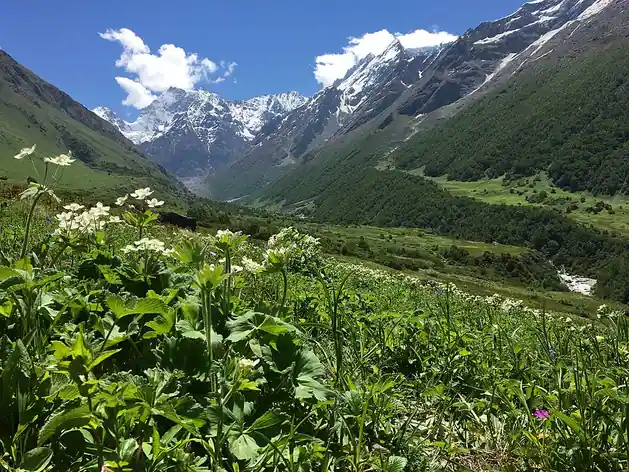 Parc national de la Vallée des fleurs