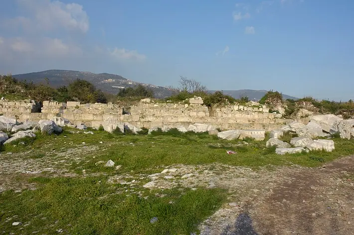 Cyzique
