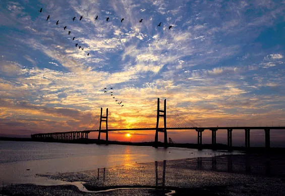 Pont de Seohae