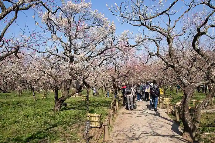 Jardin Kairaku