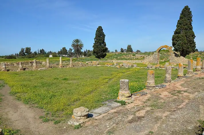 Banasa