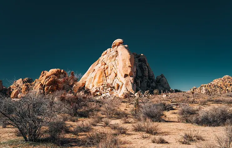 Parc national de Joshua Tree