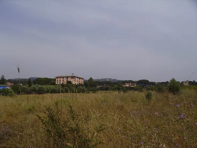 Bovillae