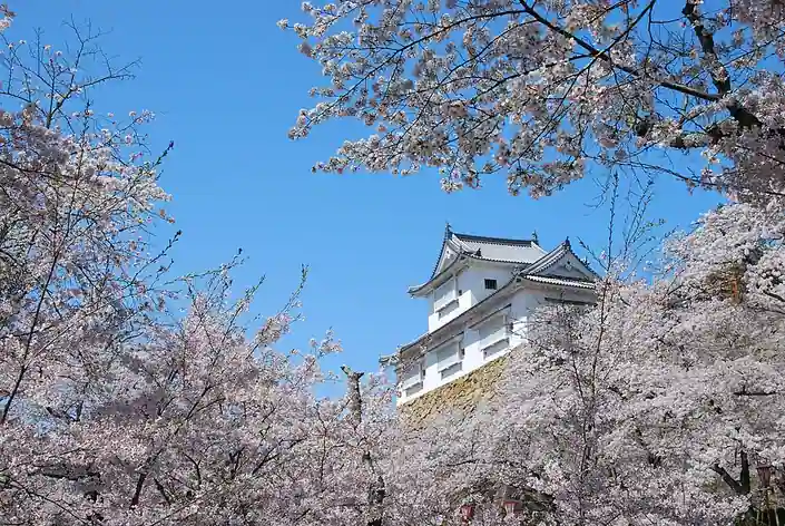 Château de Tsuyama