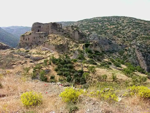Forteresse de Baghras
