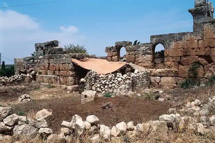 Basufan