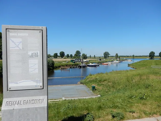 Meuse de Bergen