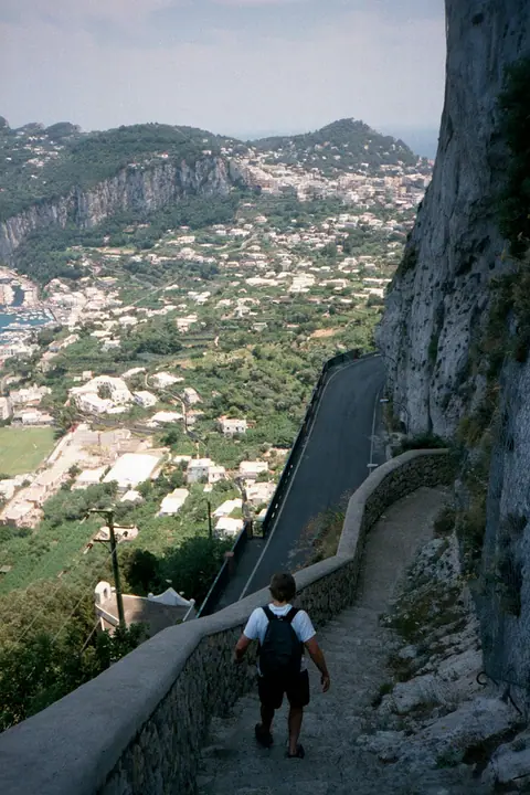 Phoenician Steps