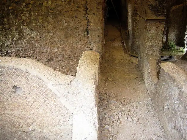 House of Livia