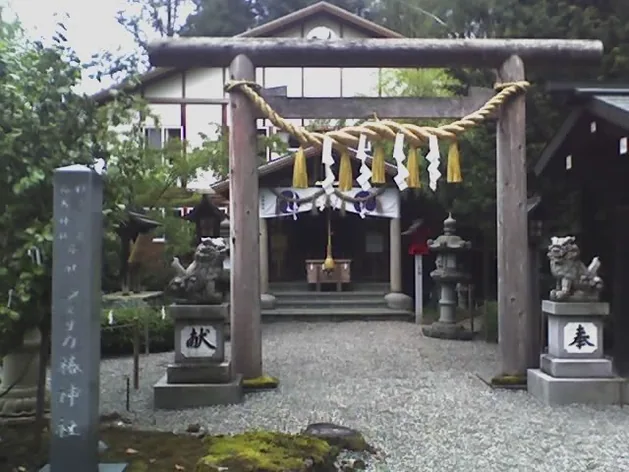 Grand sanctuaire de Tsubaki Amerika