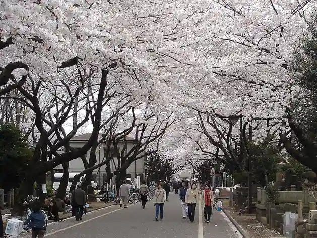Cimetière de Yanaka