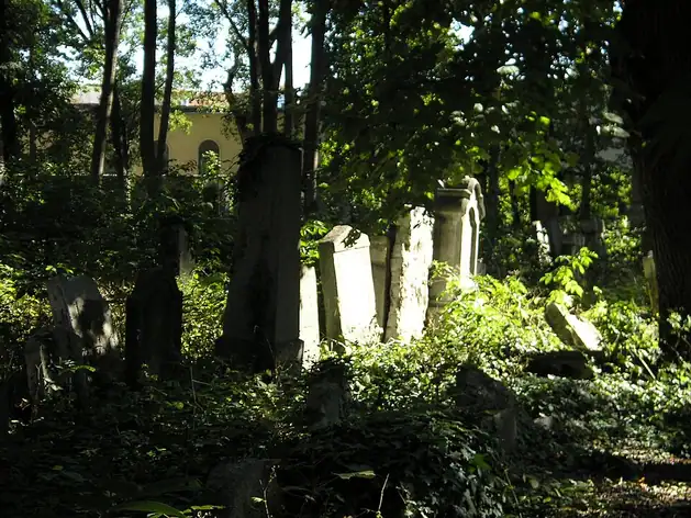 Vieux Cimetière juif de Vienne