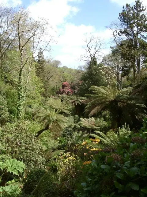 Jardins perdus de Heligan