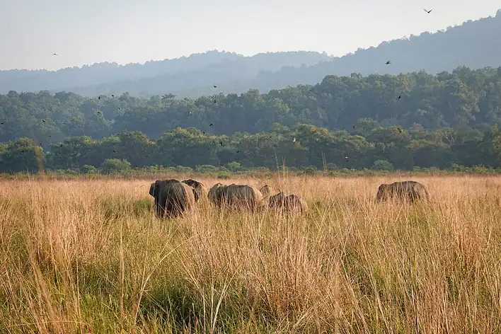 Parc national Jim Corbett