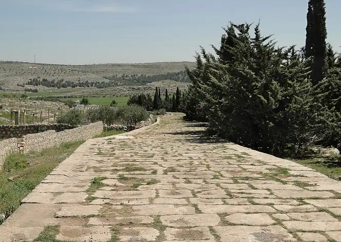 Qinnasrîn
