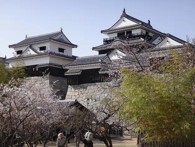Château de Matsuyama